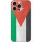 Jordan Flag Distressed iPhone 16 Pro Max Skin