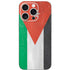 Jordan Flag Distressed iPhone 16 Pro Skin