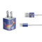 Disney Inside Out Joy and Bing Bong iPhone Charger (5W USB) Skin