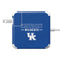 University of Kentucky Wildcats 85W Power Adapter (15 and 17 inch MacBook Pro Charger) Skin