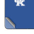 University of Kentucky Wildcats Galaxy Z Fold5 5G Skin