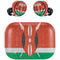 Kenya Flag Distressed Amazon Echo Buds Skin