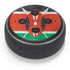 Kenya Flag Distressed Amazon Echo Dot Skin