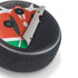 Kenya Flag Distressed Amazon Echo Dot Skin