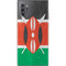 Kenya Flag Distressed Galaxy Note 10 Plus Skin