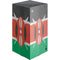 Kenya Flag Distressed XBox Series X Digital Edition Console Skin