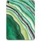 Kiwi Watercolor Geode Apple iPad Pro Skin