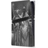 Knights by LA Williams PS5 Pro Console Skin