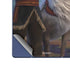 Disney Frozen II Kristoff and Sven Galaxy Z Fold6 Skin