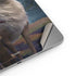 Disney Frozen II Kristoff and Sven Apple iPad Air Skin