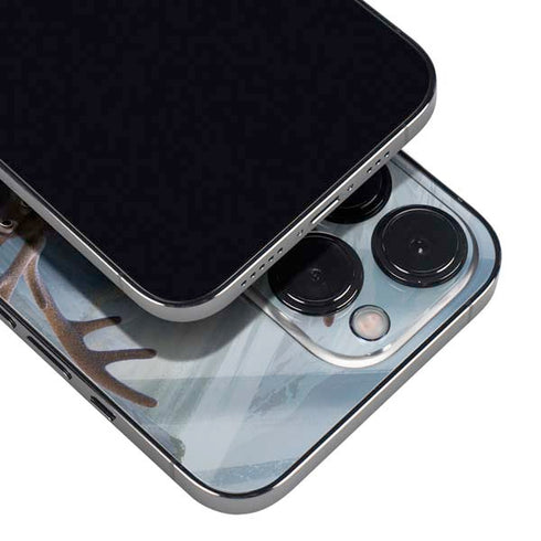 Disney Frozen II Kristoff and Sven iPhone 16 Pro Max Skin