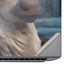 Disney Frozen II Kristoff and Sven HP ZBook Fury 16 G10 Skin