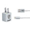 NFL Las Vegas Raiders - Alternate Distressed iPhone Charger (5W USB) Skin