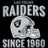 NFL Las Vegas Raiders Helmet Dell Latitude Skin