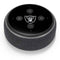 NFL Las Vegas Raiders Large Logo Amazon Echo Dot Skin