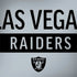 NFL Las Vegas Raiders Silver Performance Series Dell Latitude Skin