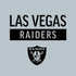 NFL Las Vegas Raiders Silver Performance Series Moto E5 Play Skin