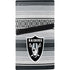NFL Las Vegas Raiders Trailblazer PS5 Pro Disk Bundle Skin