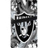 NFL Las Vegas Raiders Tropical Print PS5 Pro Bundle Skin