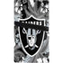 NFL Las Vegas Raiders Tropical Print PS5 Pro Bundle Skin