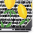 Bouffants and Broken Hearts Lemons 2 Dell Precision Skin