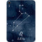 Leo Constellation Apple iPad Mini Skin