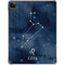 Leo Constellation iPad Pro 11in (2024) Clear Case