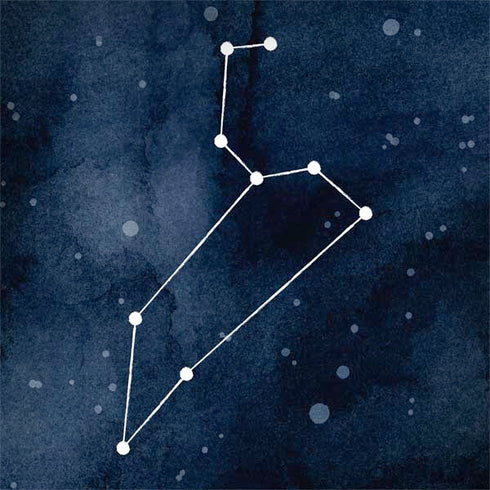 Leo Constellation MacBook Skins