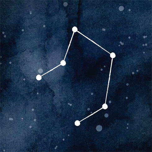 Libra Constellation Dell Latitude Skin