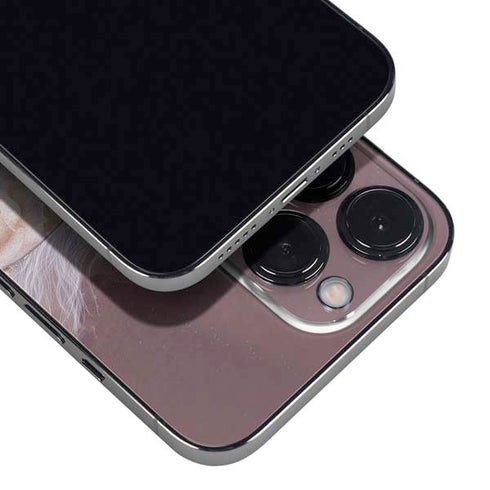 Licorne Florale Rose Unicorn by Laurie Prindle iPhone 16 Pro Max Skin