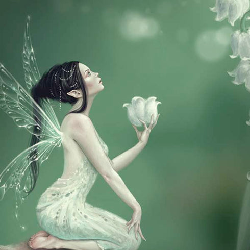 Lily of the Valley by Rachel Anderson Moto G6 Skin