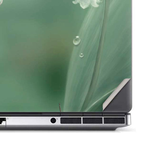Lily of the Valley by Rachel Anderson Dell Precision Skin
