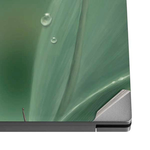 Lily of the Valley by Rachel Anderson Dell XPS Skin