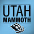 NHL Utah Mammoth Line-Up Series Galaxy Note 8 Skin