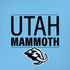 NHL Utah Mammoth Line-Up Series iPhone XS Max Skin