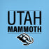 NHL Utah Mammoth Line-Up Series iPhone XS Skin