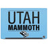 NHL Utah Mammoth Line-Up Series Dell Latitude Skin