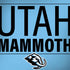 NHL Utah Mammoth Line-Up Series Dell Latitude Skin