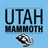 NHL Utah Mammoth Line-Up Series Otterbox Commuter Galaxy Skin
