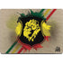 Lion of Judah Shield Apple MacBook Pro 14-inch Skin