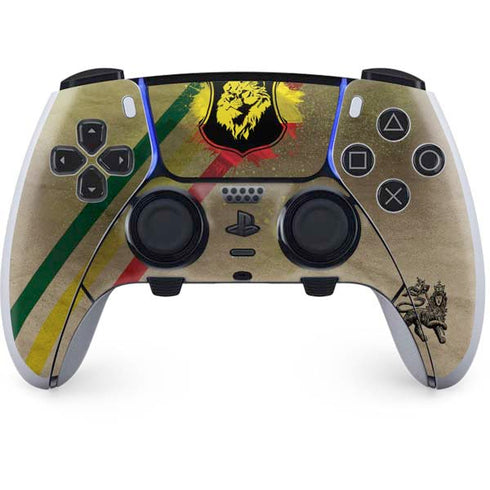 Lion of Judah Shield PlayStation PS5 Skins