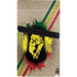 Lion of Judah Shield PS5 Pro Console Skin