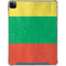 Lithuania Flag Distressed iPad Cases