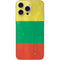Lithuania Flag Distressed iPhone 16 Pro Max Skin