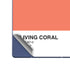 Living Coral Galaxy Z Fold6 Skin
