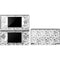 Looney Tunes Looney Squad Black and White Grid DS Lite Skin