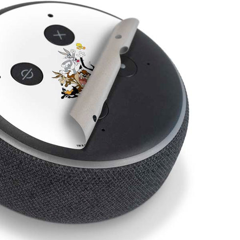 Looney Tunes All Together Amazon Echo Dot Skin