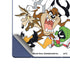 Looney Tunes All Together Galaxy Z Fold6 Skin