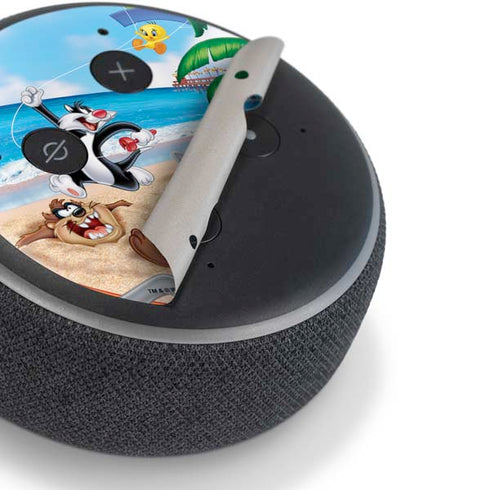 Looney Tunes Beach Amazon Echo Dot Skin