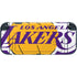 NBA Los Angeles Lakers Large Logo Nintendo Switch 2 (2025) with Joy-Con Skin
